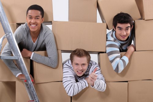 Professional movers carrying boxes during a same day relocation